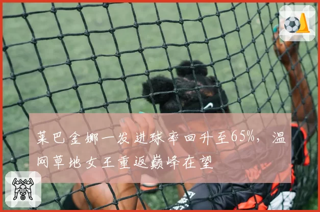 莱巴金娜一发进球率回升至65%，温网草地女王重返巅峰在望