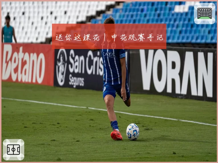 送你这棵花丨申花观赛手记