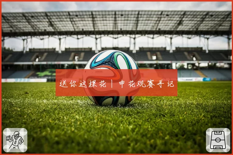 送你这棵花丨申花观赛手记